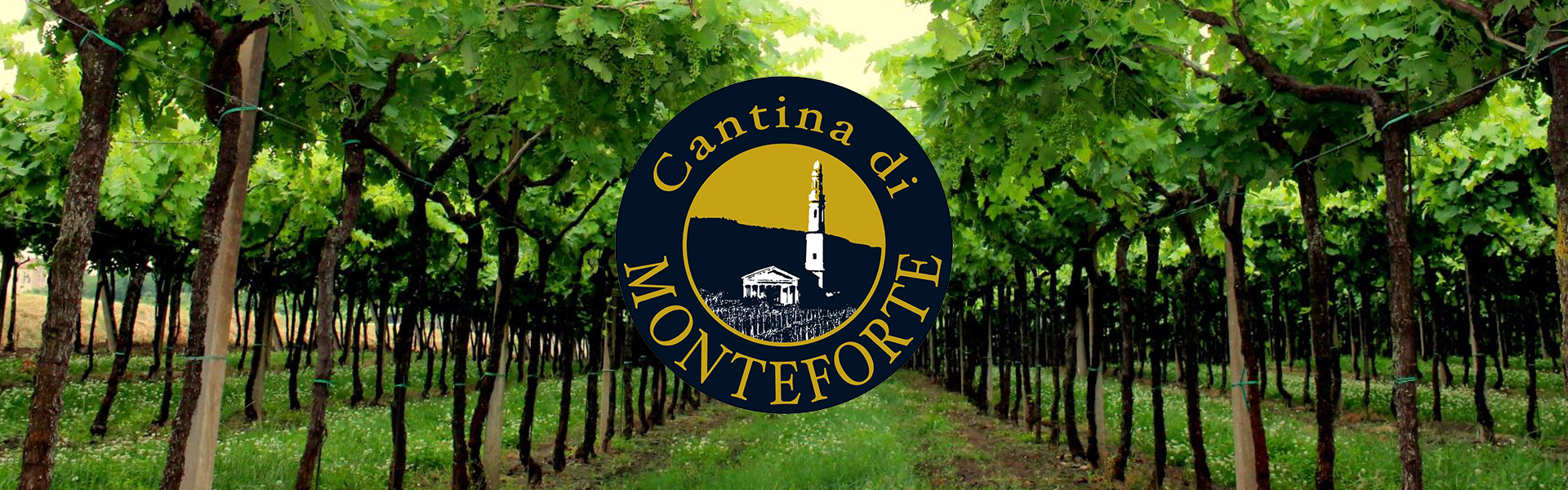 Cantina di Monteforte