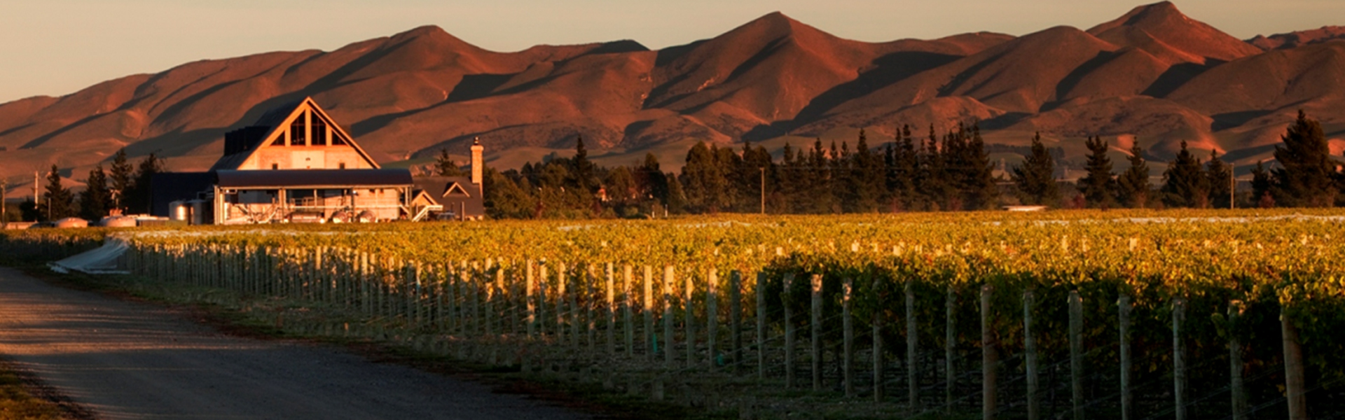 Waipara Hills