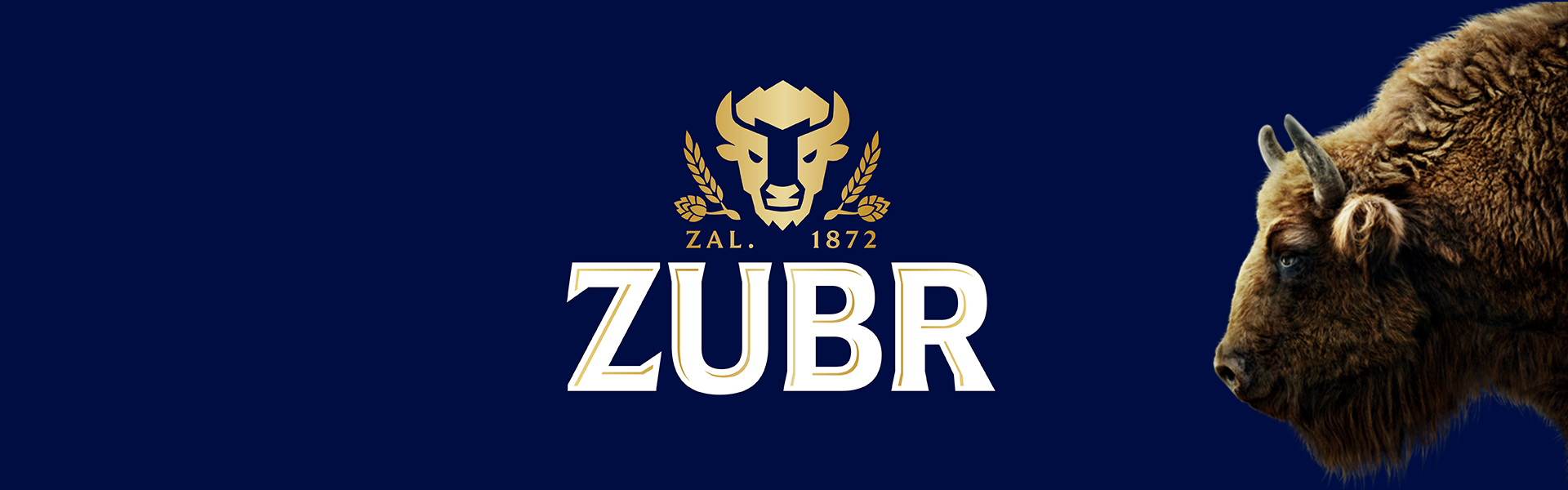 Zubr