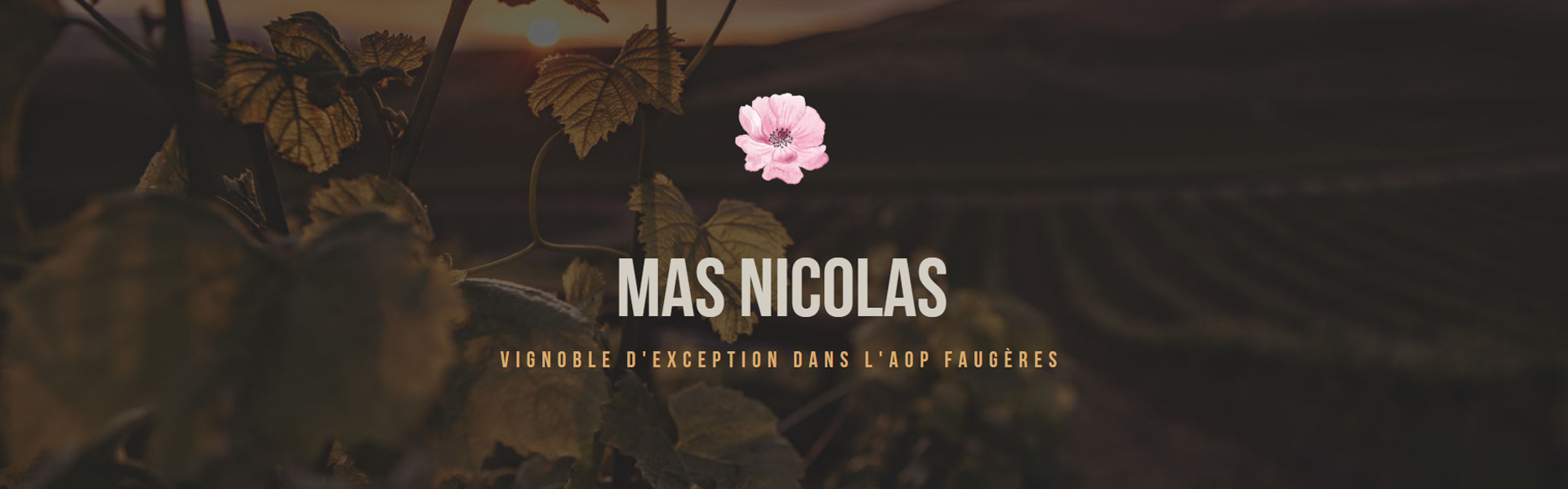 Domaine Mas Nicolas