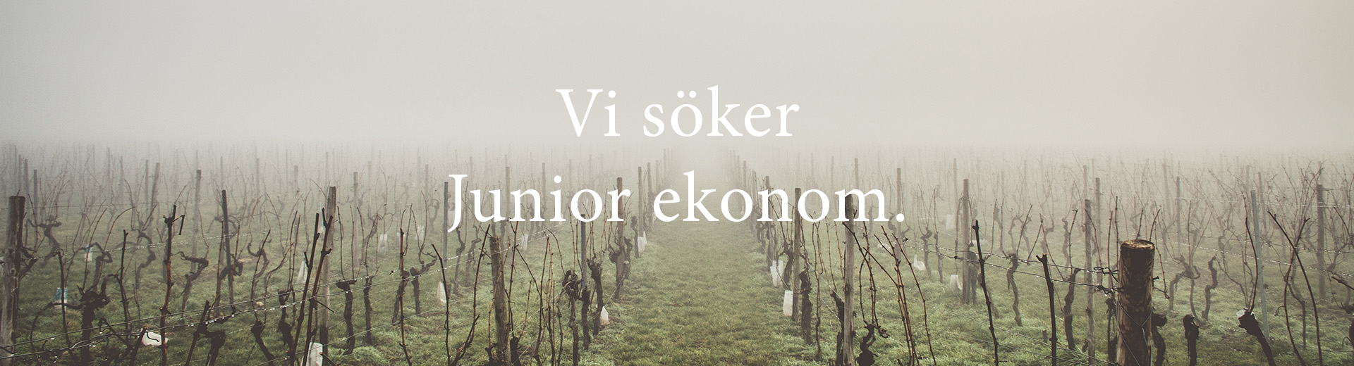 TOMP söker Junior ekonom