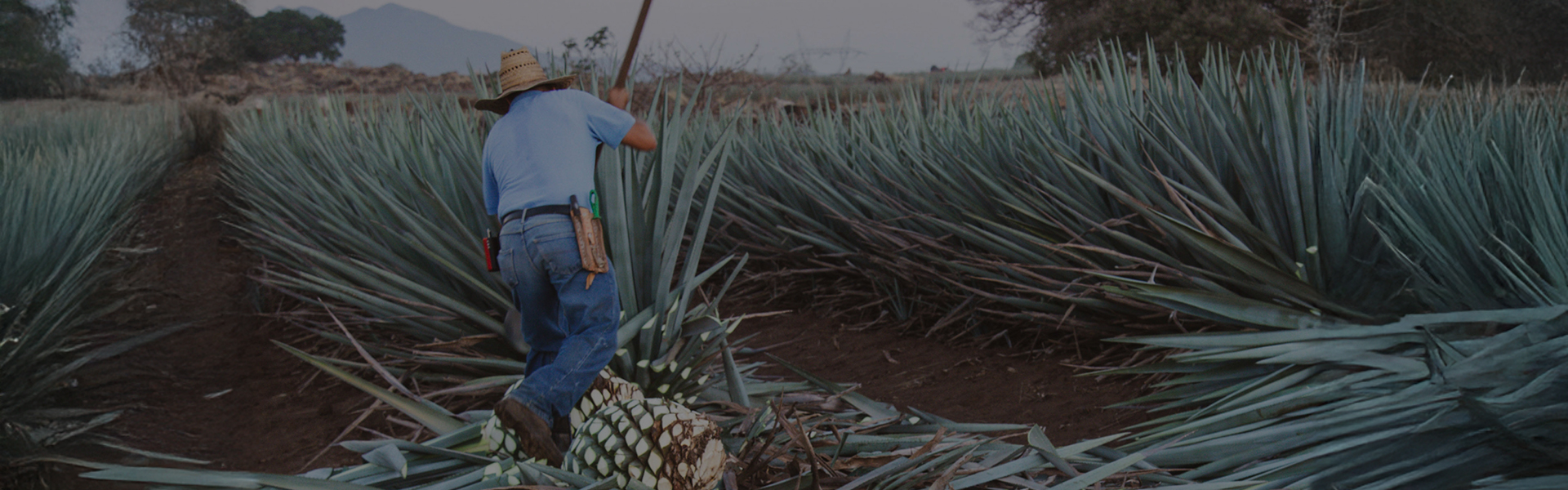 Lunazul Tequila